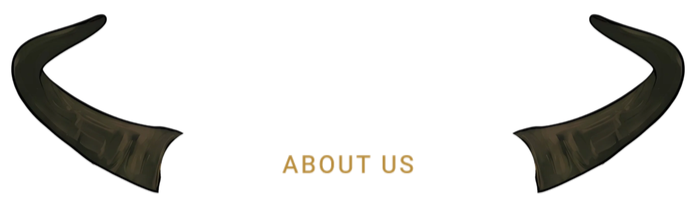 About Us – The Lowdown About Us - The Lowdown